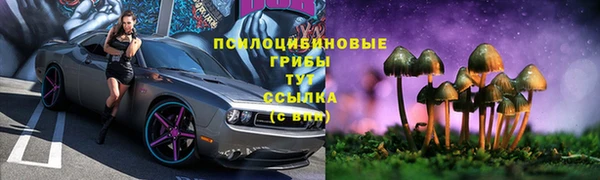 гидра Алзамай