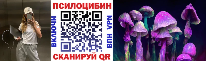 Псилоцибиновые грибы Psilocybine cubensis  Канск 
