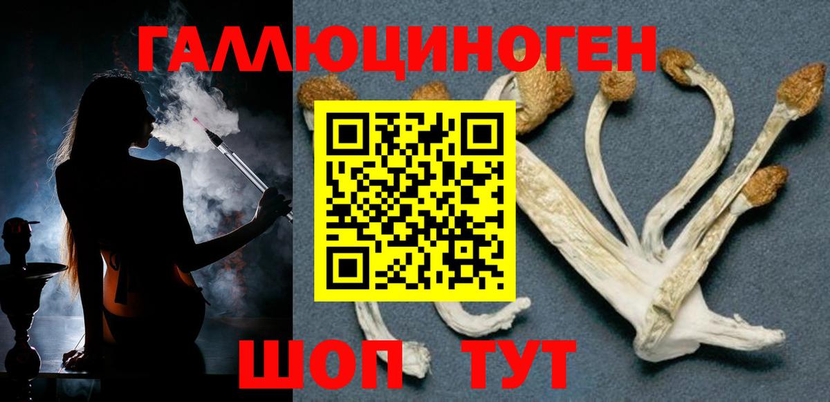 Галлюциногенные грибы Psilocybe Канск